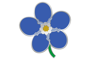 forget me not pins