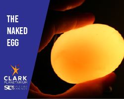 The Naked Egg