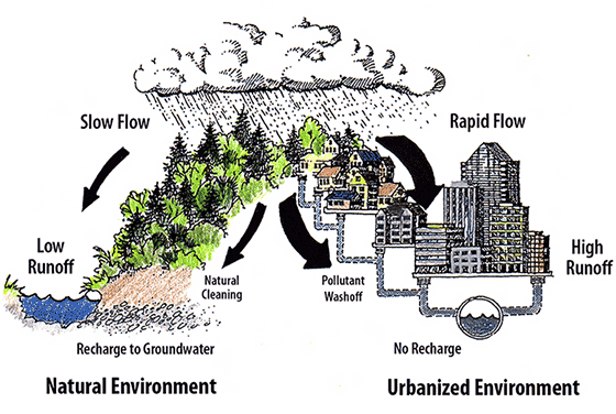 Urban vs natural streamflow