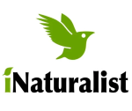 INaturalist_logo