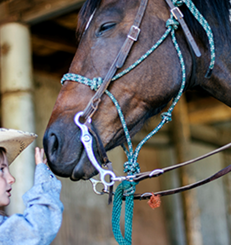 A girl in a blue shirt and hat petting a brown horse.