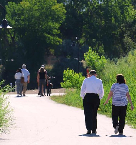 A group of people walking on a path in a park.