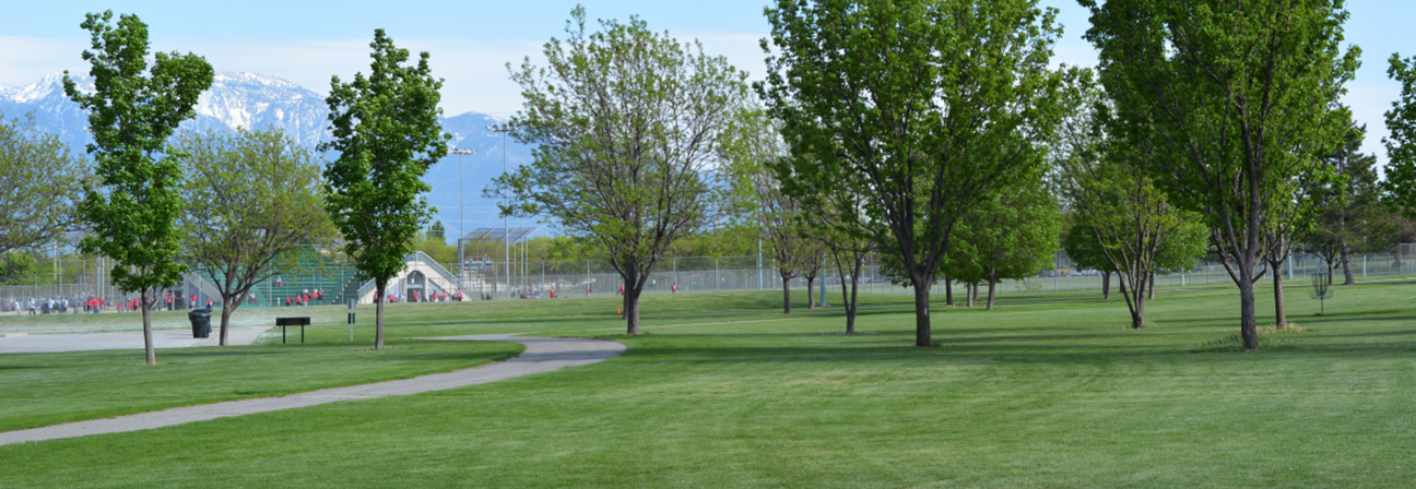A park with trees and grass.