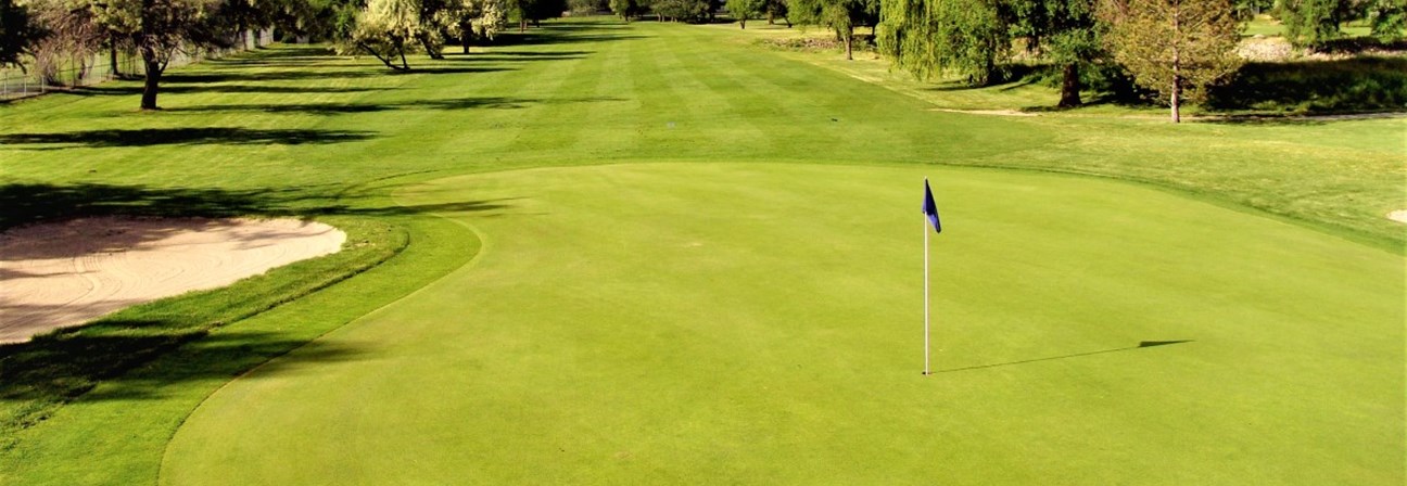 A golf course with a flag.